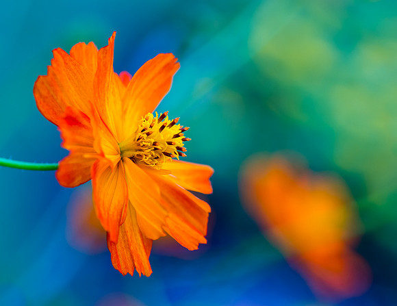 Nature's fireworks